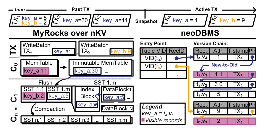 Storage organization under nKV and neoDBMS